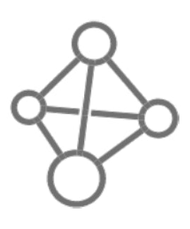 Nano Silver Icon