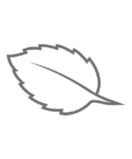 Leaves Icon