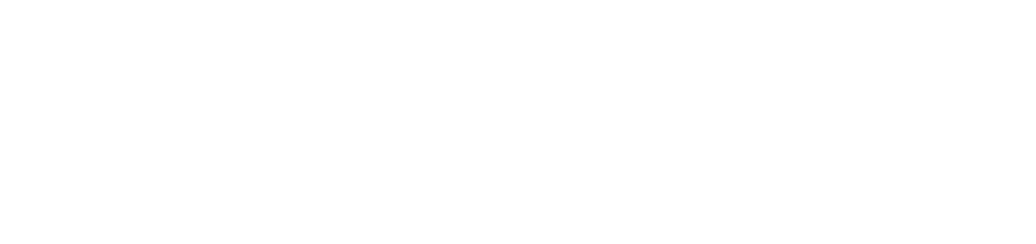 large gray and white banner logo for Elementa Silver - revolutionary oral care