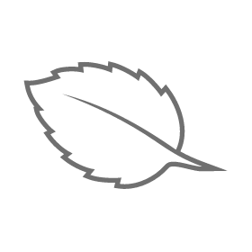 small icon drawing of a leaf for natural flavor